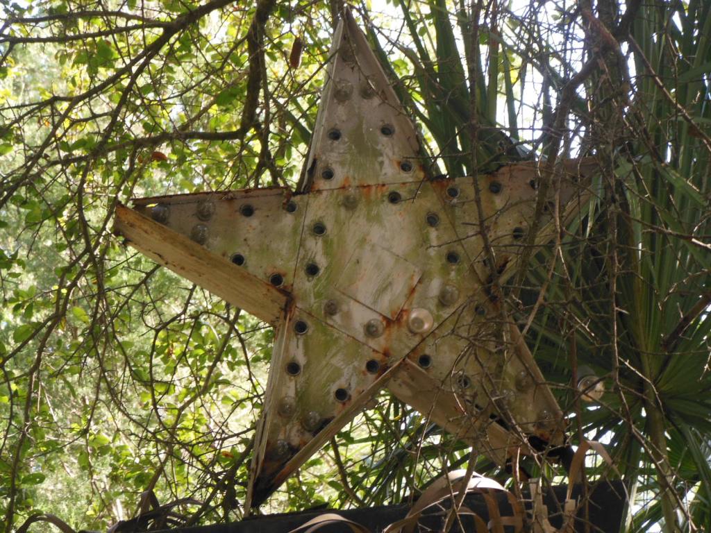 Sadly, Utterly Abandoned Motel? | Lis'Anne Harris