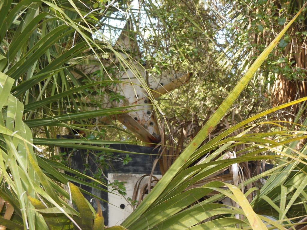 Sadly, Utterly Abandoned Motel? | Lis'Anne Harris