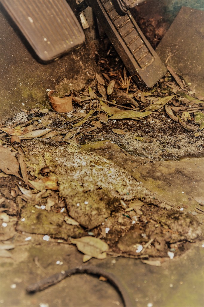 Utterly Forlorn Fire Truck series on the blog of romance author Lis'Anne Harris