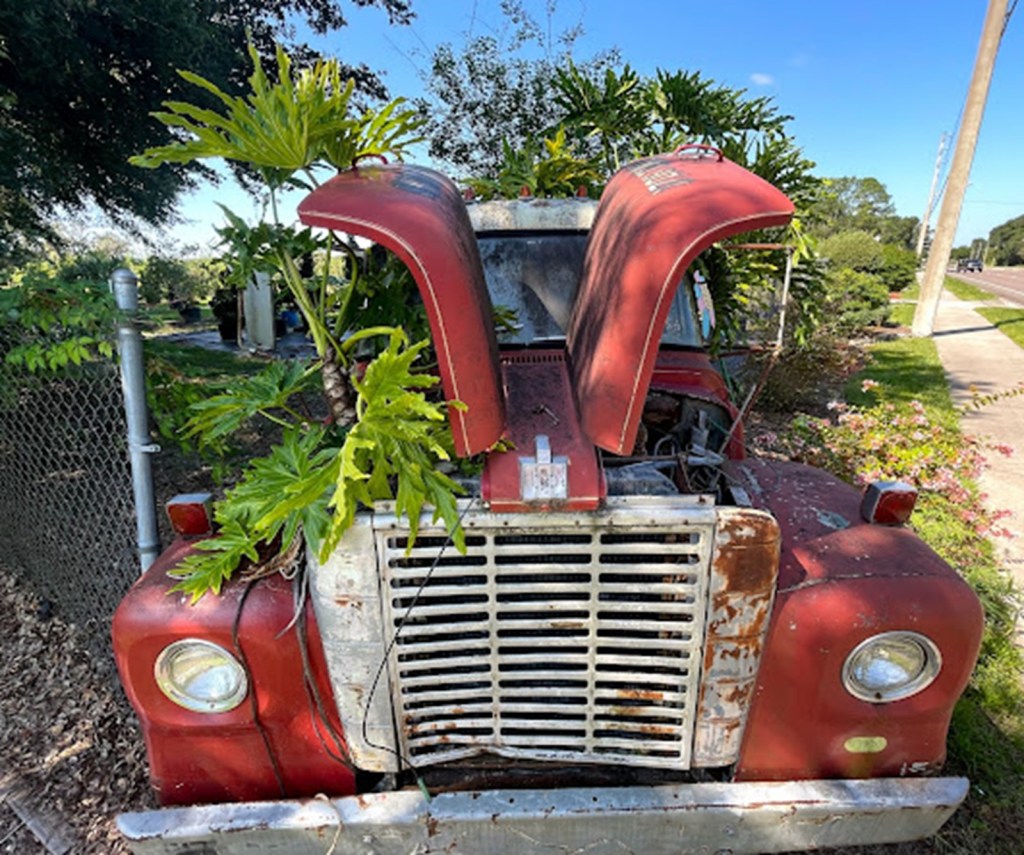 Utterly Forlorn Fire Truck | Lis'Anne Harris